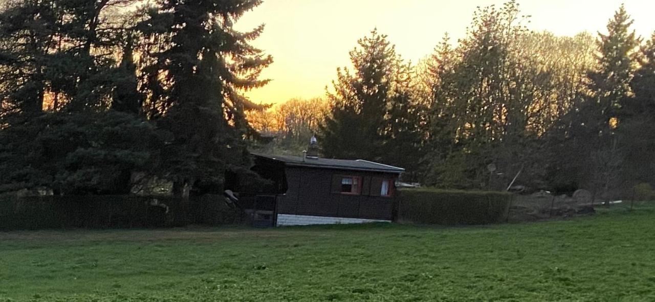 Villa Ferienhaus Zittertal Neustadt Harz Harztor Exterior foto