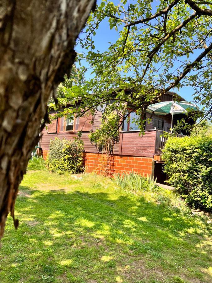 Ferienhaus Zittertal Neustadt Harz Harztor Exterior foto