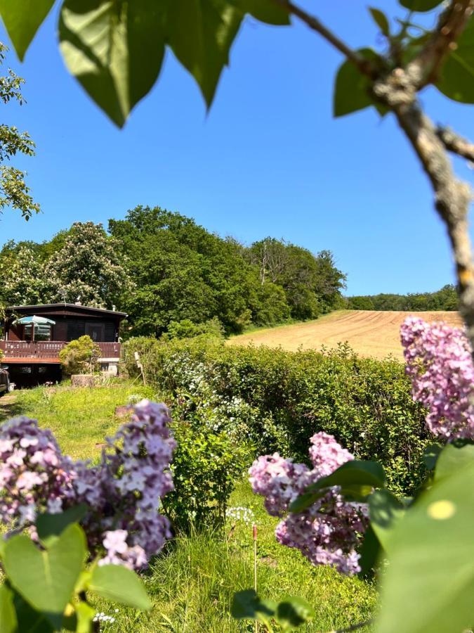 Ferienhaus Zittertal Neustadt Harz Harztor Exterior foto